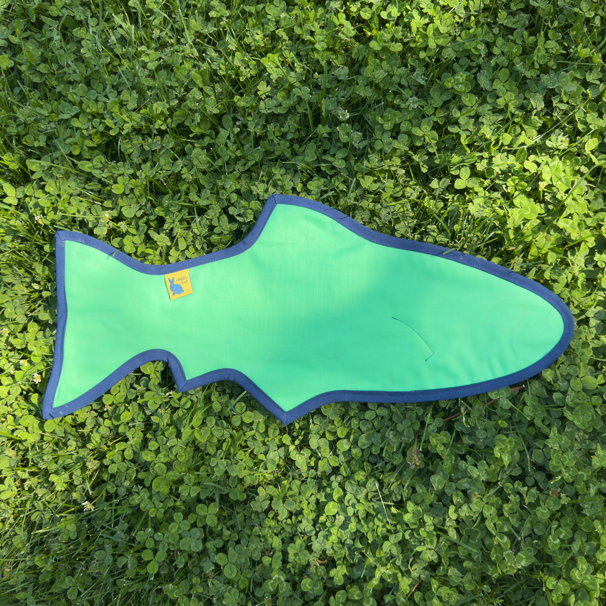 rainbow trout wall quilt